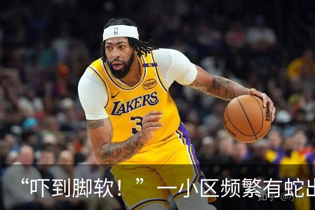 “吓到脚软！”一小区频繁有蛇出没，还有眼镜蛇；专家：居住区垃圾为蛇类间接提供食物