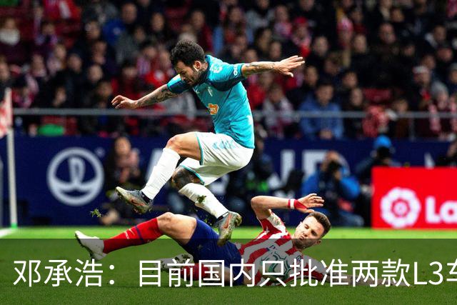 邓承浩：目前国内只批准两款L3车型 其它企业讲L3级是在打擦边球