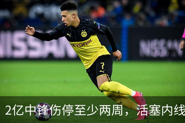2亿中锋伤停至少两周，活塞内线告急